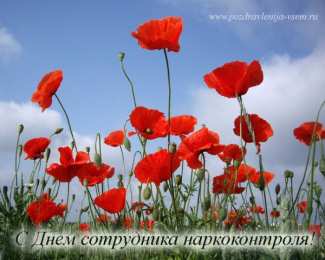 Открытки с днём работника органов наркоконтроля  Открытки с днём работника органов наркоконтроля скачать бесплатно.