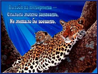 Открытки с леопардом Открытки с леопардом скачать. Открытки с леопардом бесплатно.