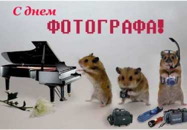 Открытки с днём фотографа Открытки с днём фотографа скачать. Открытки с днём фотографа бесплатно.