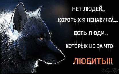 Открытки с волками Анимационные открытки с волками. Скачать открытки с волками gif.