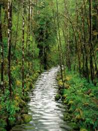 Открытки с ручьями  Открытки с ручьями с анимациями. Красивые открытки с ручьями.