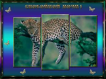 Открытки с леопардом Открытки с леопардом скачать. Открытки с леопардом бесплатно.