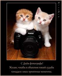 Открытки с днём фотографа Открытки с днём фотографа скачать. Открытки с днём фотографа бесплатно.