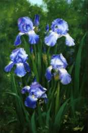 Открытки с ирисами  Открытки с ирисами скачать. Открытки с ирисами бесплатно онлайн.