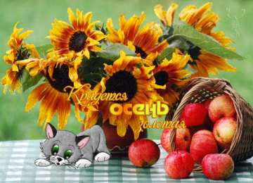 Открытки осень Открытки осень скачать бесплатно. Красивые открытки осень gif.