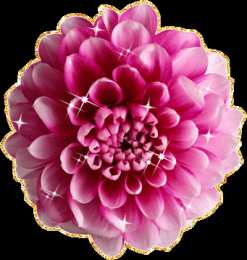 Открытки с георгинами  Открытки с георгинами скачать бесплатно. Открытки с георгинами онлайн.