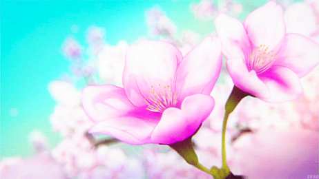 Открытки с сакурой  Открытки с сакурой gif. Дерево сакуры открытки скачать бесплатно.