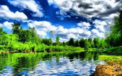 Открытки с летним лесом Открытки с летним лесом бесплатно онлайн. Красивые открытки с лесом.