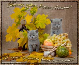 Открытки желаю удачи  Красивые анимационные открытки желаю удачи скачать бесплатно.