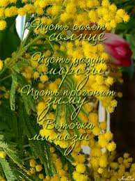 Открытки с мимозой  Открытки с мимозой скачать бесплатно. Открытки с мимозой онлайн.