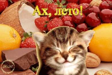 Открытки лето Красивые открытки лето. Скачать бесплатно открытки лето gif.