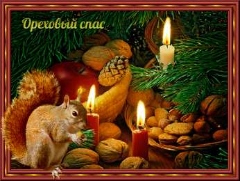 Открытки с белочками  Открытки с белочками gif. Скачать бесплатно открытки с белками.