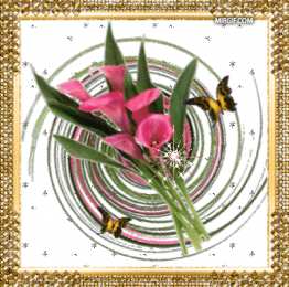 Открытки с каллами Открытки с каллами скачать бесплатно. Открытки с каллами онлайн.