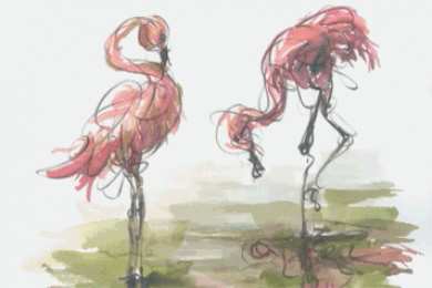 Открытки с фламинго Открытки с фламинго с анимациями. Открытки с фламинго скачать.