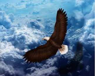 Открытки с орлом Открытки с орлом скачать бесплатно. Открытки с орлом онлайн.