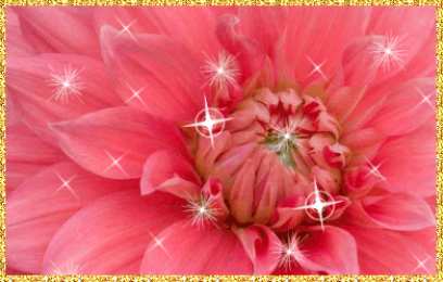 Открытки с георгинами  Открытки с георгинами скачать бесплатно. Открытки с георгинами онлайн.