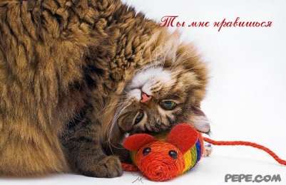 Открытки ты мне нравишься Красивые Открытки ты мне нравишься с признаниями скачать бесплатно.