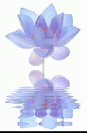 Открытки с лотосом  Открытки с лотосом анимационные. Блестящие открытки с лотосом.