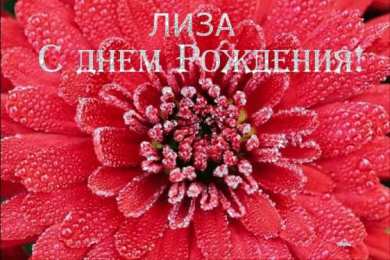 Открытки с именем Елизавета Открытки с именем Елизавета скачать бесплатно. Открытки с именем Лиза.