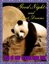 Открытки с пандой Открытки с пандой скачать бесплатно. Открытки с пандой gif.