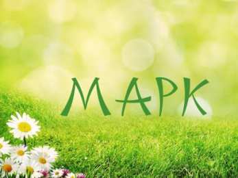 Открытки с именем Марк Открытки с именем Марк скачать бесплатно. С днём рождения Марк открытки.