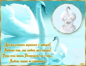 Открытки с лебедями  Открытки с лебедями скачать. Открытки с лебедями бесплатно. 