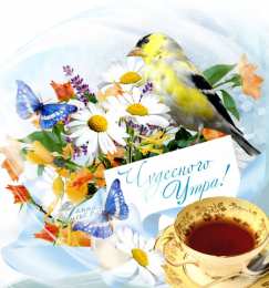 Открытки с добрым утром Открытки поздравления с добрым утром 