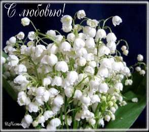 Открытки с ландышами  Открытки с ландышами скачать. Открытки с ландышами онлайн бесплатно.