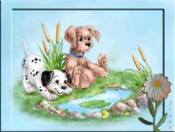 Открытки с собаками Анимационные открытки с собаками. Скачать бесплатно открытки с собаками.