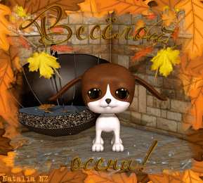 Открытки осень Открытки осень скачать бесплатно. Красивые открытки осень gif.