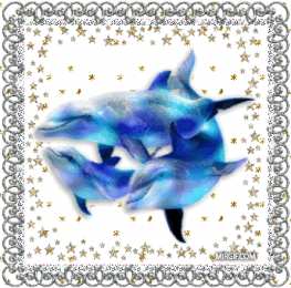 Открытки с дельфинами Открытки с дельфинами с анимациями. Открытки с дельфинами скачать.