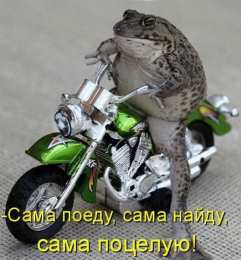 Открытки с лягушками  Открытки с лягушками скачать бесплатно. Открытки с лягушками gif.