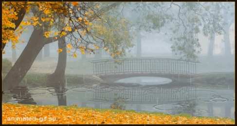 Открытки с дождём Открытки с дождём скачать бесплатно. Открытки с дождём с анимациями.