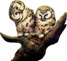 Открытки с совами  Открытки с совами скачать. Открытки с совами бесплатно онлайн.