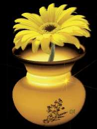 Открытки с герберами  Открытки с герберами скачать бесплатно. Открытки с герберами gif.