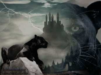 Открытки с леопардом Открытки с леопардом скачать. Открытки с леопардом бесплатно.