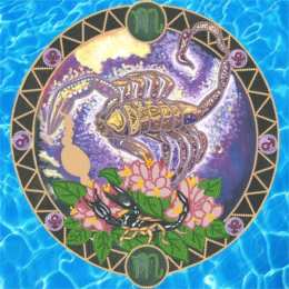 Открытки знак зодиака Скорпион Анимационные Открытки знак зодиака Скорпион. скачать бесплатно.