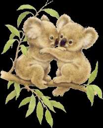 Открытки с коалой  Открытки с коалой скачать бесплатно. Открытки с коалой gif.