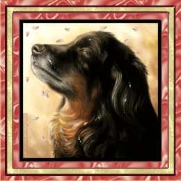 Открытки с собаками Анимационные открытки с собаками. Скачать бесплатно открытки с собаками.