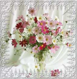 Открытки с космеями  Открытки с космеями анимационные. Открытки с космеями gif.  