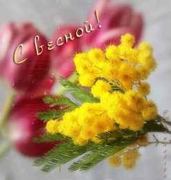 Открытки весна Открытки весна скачать бесплатно. Анимационные открытки весна.