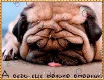 Открытки на вторник Открытки на вторник скачать. Открытки на вторник бесплатно онлайн.