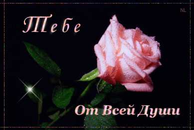 Открытки для тебя Красивые Открытки для тебя скачать  бесплатно. Открытки для тебя gif.