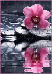 Открытки с дождём Открытки с дождём скачать бесплатно. Открытки с дождём с анимациями.