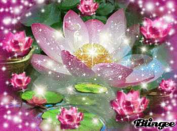 Открытки с лотосом  Открытки с лотосом анимационные. Блестящие открытки с лотосом.