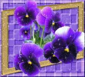 Открытки с фиолетовыми анютиными глазками  Открытки с фиолетовыми анютиными глазками скачать бесплатно.
