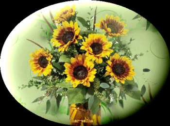 Открытки с подсолнухами Открытки с подсолнухами скачать бесплатно. Открытки с подсолнухами gif.