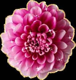 Открытки с георгинами  Открытки с георгинами скачать бесплатно. Открытки с георгинами онлайн.