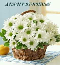 Открытки на вторник Открытки на вторник скачать. Открытки на вторник бесплатно онлайн.