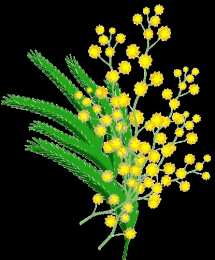 Открытки с мимозой  Открытки с мимозой скачать бесплатно. Открытки с мимозой онлайн.